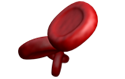 Healthy Nerve